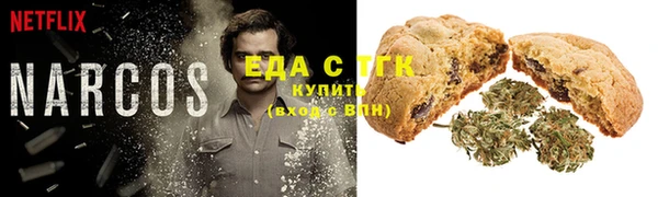 стафф Володарск